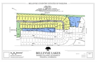 2330 W Bellevue Lakes St, Paulina, LA 70763