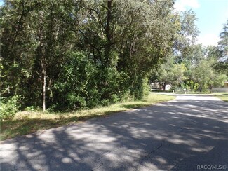 6372 N Iris Dr, Hernando, FL 34442