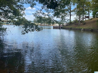 LOT 6 Pineywoods Dr, Wedowee, AL 36278