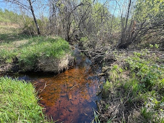 TBD Skog Rd, Silver Township, MN 55757