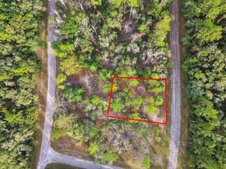 825 E Toledo Dr, Citrus Springs, FL 34434