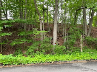 Lot 114 Bark Haul Rd, Longmeadow, MA 01106