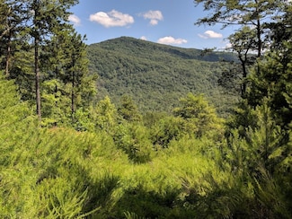 0 Cherry Creek Rd Unit 25448675, Meadows of Dan, VA 24120