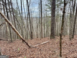 0-LOT 1759B Rebekah Ridge, Talking Rock, GA 30175