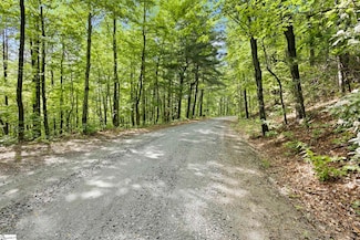 430 N Lakeview Dr, Saluda, NC 28773