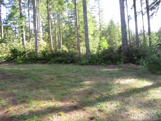 540 NE Collins Lake Dr, Tahuya, WA 98588