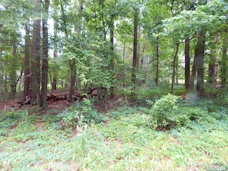 TBD Quiet Oak Unit Lot 197, Block PH4 G, Gilmer, TX 75645