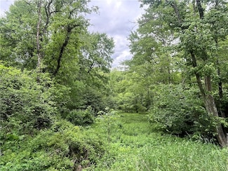 0 Cadogen Slatelick Unit 1702842, North Buffalo Township, PA 16201