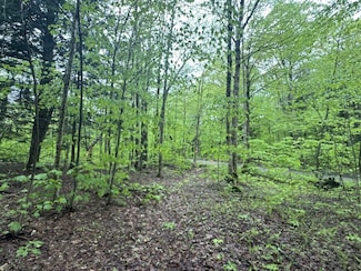 1585 Amidon Rd, Montgomery, VT 05471