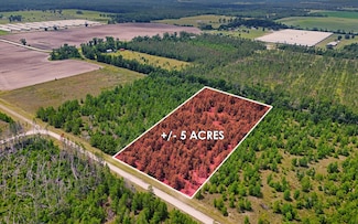 TBD Loblolly Trail, Lee, FL 32059