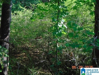 0 Onrow Tubbs Rd, Marion, AL 36756
