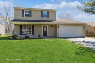 917 Debden Dr, Island Lake, IL 60042