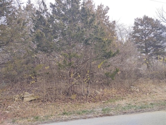 0 Lot 40 & 41 Fernwood Unit 21026109, House Springs, MO 63051