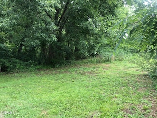 Tbd Hamblen St S, Big Stone Gap, VA 24219