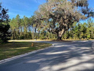 Lot 142 Beacon Pointe Pkwy, Waverly, GA 31565