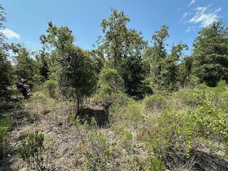 0 NE 66th Ln Unit 791291, Williston, FL 32696
