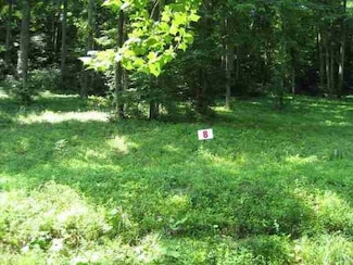 Lot #8 Short White Oak Rd, Flatwoods, KY 41139