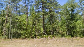 6389 W Oak Park Blvd, Homosassa Springs, FL 34446