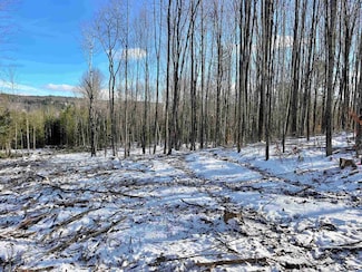 001 Duck Pond Rd, West Glover, VT 05822