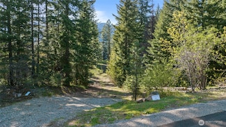 3 Newport Creek Loop, Ronald, WA 98940