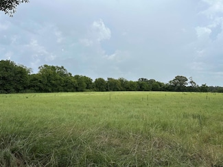 3697 An County Road 309, Frankston, TX 75763