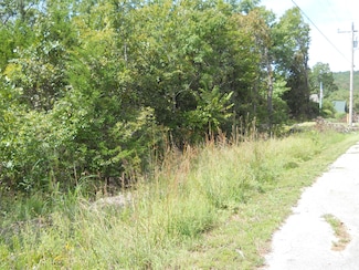 Lot 22 Trendy Ln, Pine B Township, MO 65681