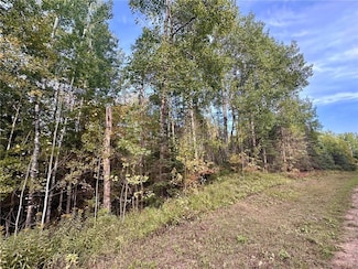 TBD Old Vermilion Trail, Gnesen Township, MN 55803
