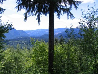 0 Marble Mountain Unit 862118, Cougar, WA 98616