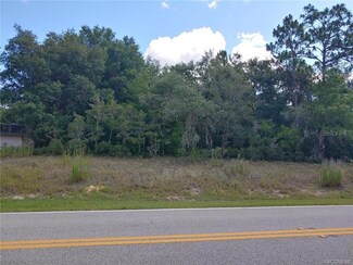 1693 E Hartford St, Inverness, FL 34453
