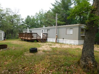 2938 Sandy Trail, Grayling, MI 49738