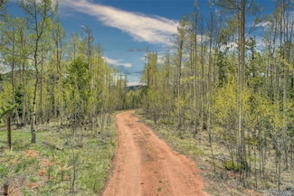 12201 S Highway 67, Cripple Creek, CO 80813