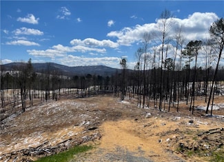 134 Twisted Oak Rd, Talking Rock, GA 30175