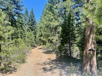 910 Mountain Dr, Johnsville, CA 96103