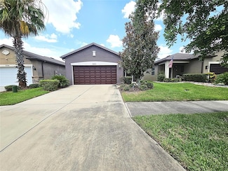 8402 Red Spruce Ave, Riverview, FL 33578