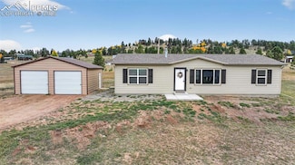 111 Estes Cir, Florissant, CO 80816