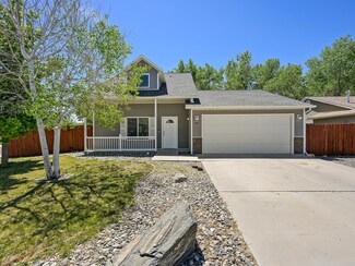 513 Purple Ash Cir, Clifton, CO 81520