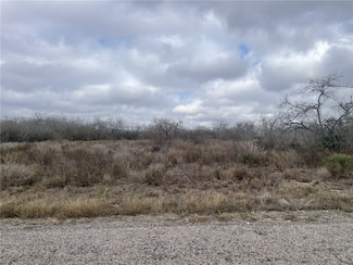 TBD Windy Ridge Loop, Mathis, TX 78368