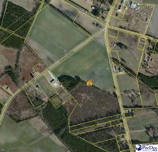 000 N Sally Hill Rd, Timmonsville, SC 29161