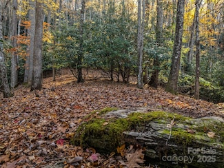 241 Skye Dr, Pisgah Forest, NC 28768