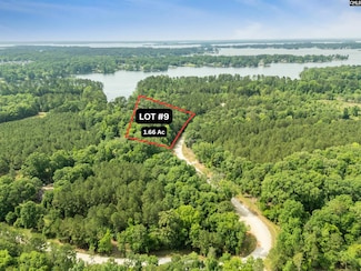 719 Clipper Trail, Chapin, SC 29036
