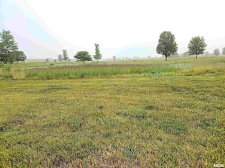 1020 Ring Dr, Metamora, IL 61548