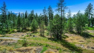 xxx S Chapman Rd, Medical Lake, WA 99025