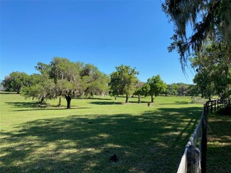 13702 NW Gainesville Rd, Reddick, FL 32686