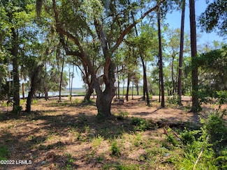 1 Shallow Run Ln, Beaufort, SC 29907