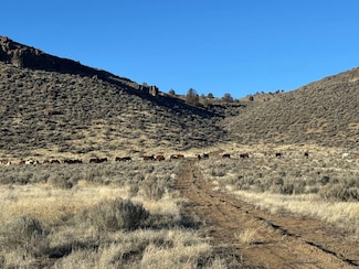 TL 6200 Weaver Springs Rd, Burns, OR 97720