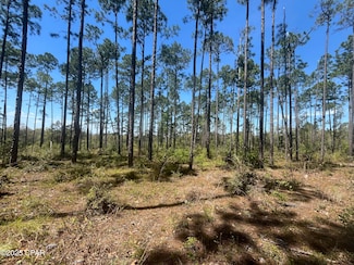 0 Wildrose Ln, Chipley, FL 32428