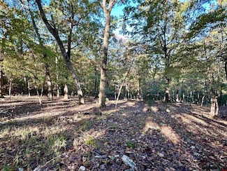 001-03309-006 Oakley Rd, Mountain Home, AR 72653