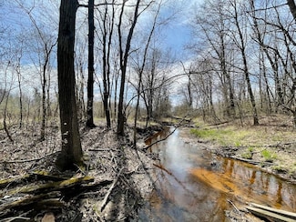 Meunier Rd, Vesper, WI 54489