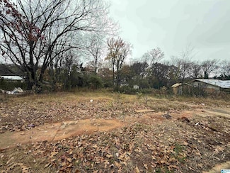 6515 3rd Ave S, Birmingham, AL 35212