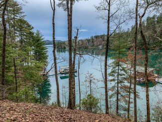 408 Ginseng Dr, Sunset, SC 29685